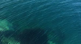 obrázek - Barentshavet. Баренцево море.