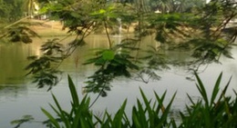 obrázek - Virginia Lagoon