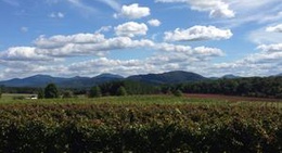 obrázek - Afton Mountain Vineyards
