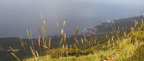 obrázek - Prainha de Baixo