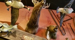 obrázek - Handlebars