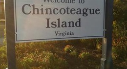 obrázek - Chincoteague Island, VA