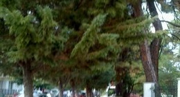 obrázek - Τα Πεύκα μας