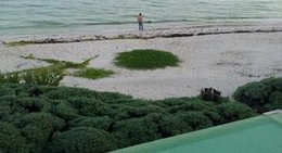 obrázek - Tropical Riviera