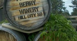 obrázek - Prairie Berry Winery