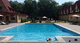 obrázek - Gold Fish