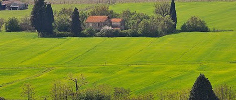 obrázek - Brufa