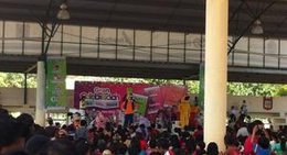 obrázek - Domos deportivos Cecilio Chi