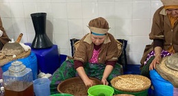 obrázek - Argan Oil Cooperative Marjana