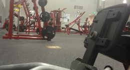 obrázek - Steiner Branch Family Y