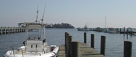 obrázek - Sebastian