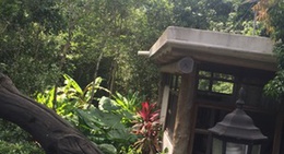 obrázek - Riviera Maya