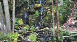 obrázek - Lehigh Park