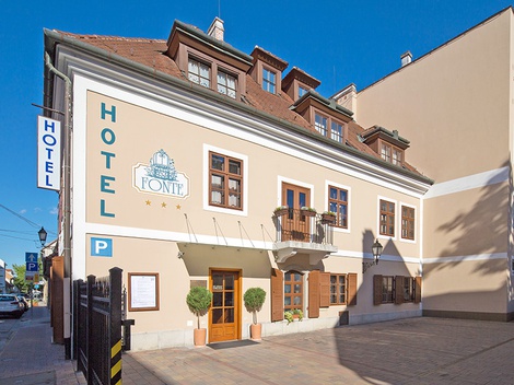 obrázek - Lázně Győr v hotelu v centru města s
