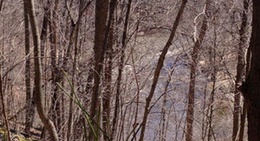 obrázek - White Pine Trail At Childsdale