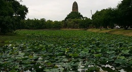 obrázek - Bueng Phra Ram (บึงพระราม)