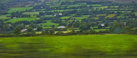 obrázek - Tipperary