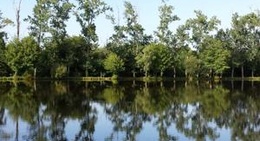 obrázek - Friterie Firbeix