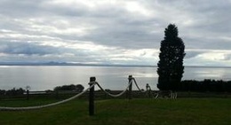 obrázek - Jack Rabbit Vineyard