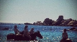 obrázek - Tamaricciu