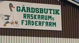 obrázek - Raskerums Fjäderfarm