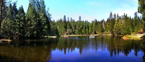 obrázek - Dorrington