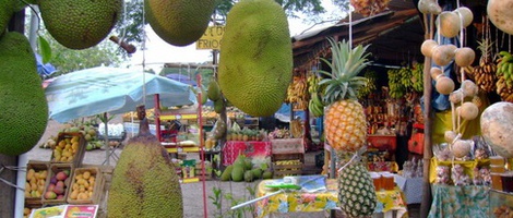 obrázek - Higuera Blanca