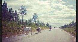 obrázek - Överkalix