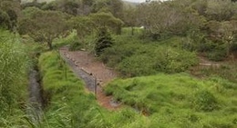obrázek - Waimea Nature Park ('Ulu La'au)