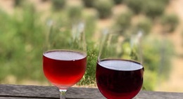 obrázek - The Cups Estate