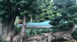 obrázek - Botanical Gardens