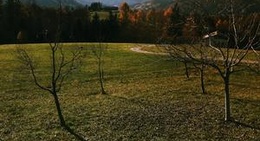 obrázek - Reschenwirt