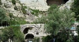 obrázek - La reserve de Afqa