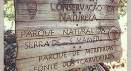 obrázek - Parque de Merendas Fonte dos Carvoeiros