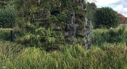 obrázek - Water Maze