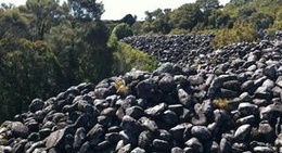 obrázek - The Rock Field