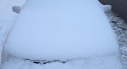 obrázek - New Kensington