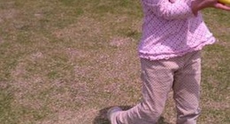 obrázek - すさみ町総合運動公園