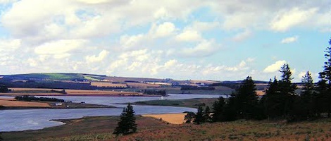 obrázek - Stanley Bridge