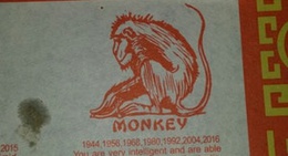 obrázek - Shanghai Restaurant