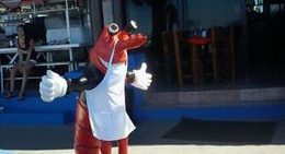 obrázek - Los Laureles