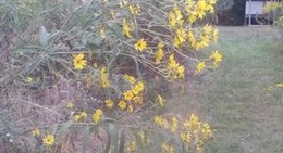 obrázek - Touch the Earth Natural Area