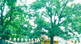 obrázek - 桑園公園