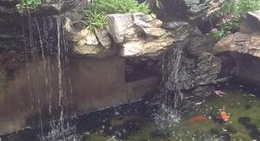 obrázek - 鹏城饭馆