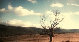 obrázek - Berridale