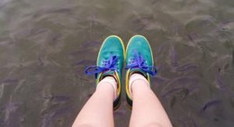 obrázek - Kud Nam Kin Park (สวนสาธารณะกุดน้ำกิน)