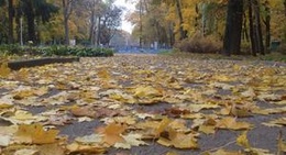 obrázek - Центральний парк культури та відпочинку