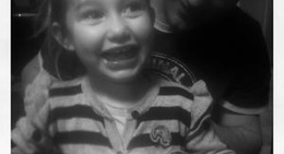 obrázek - Venus Foodtrap