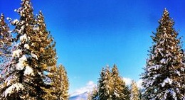 obrázek - Anytime Fitness