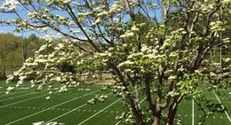 obrázek - Mills Park